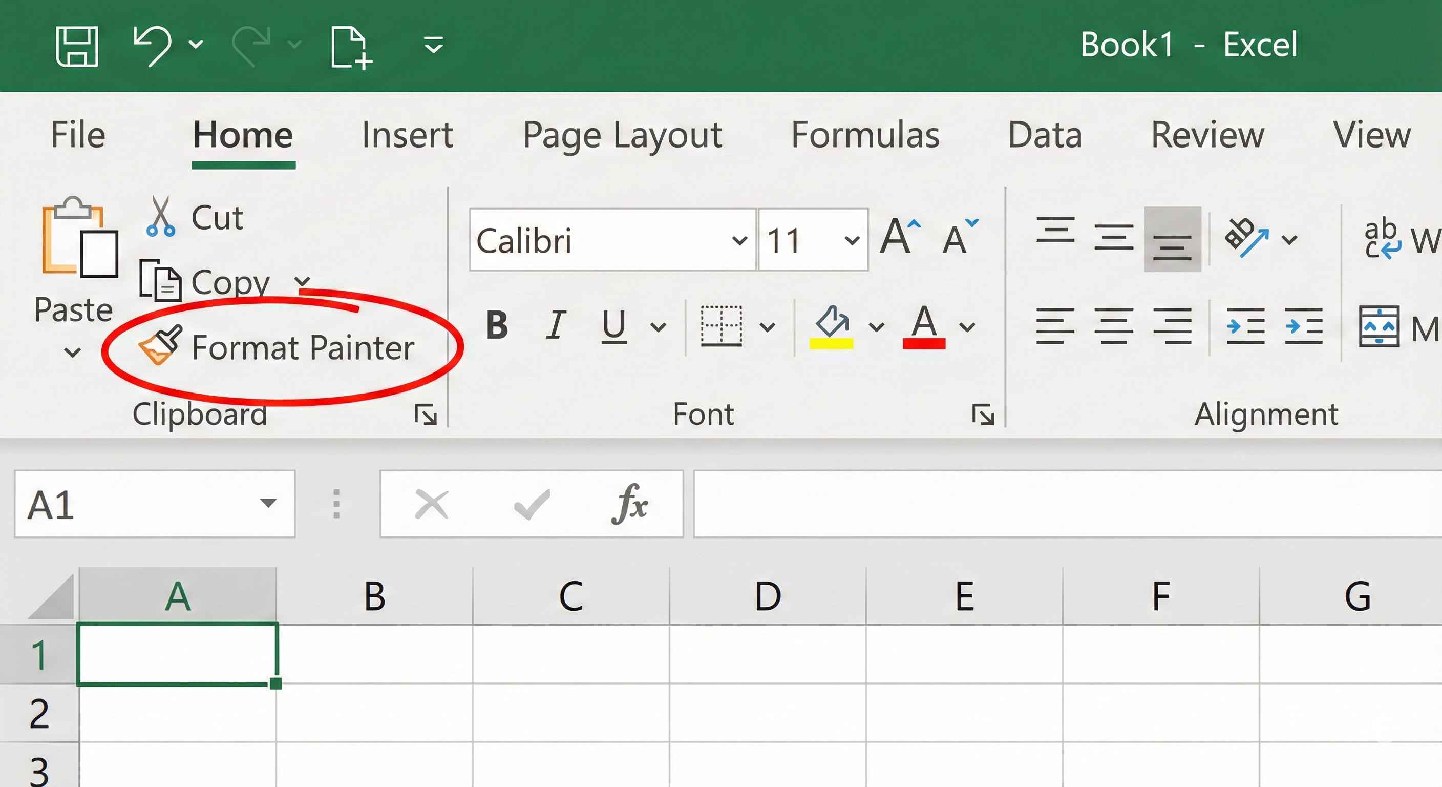 Format Painter Button