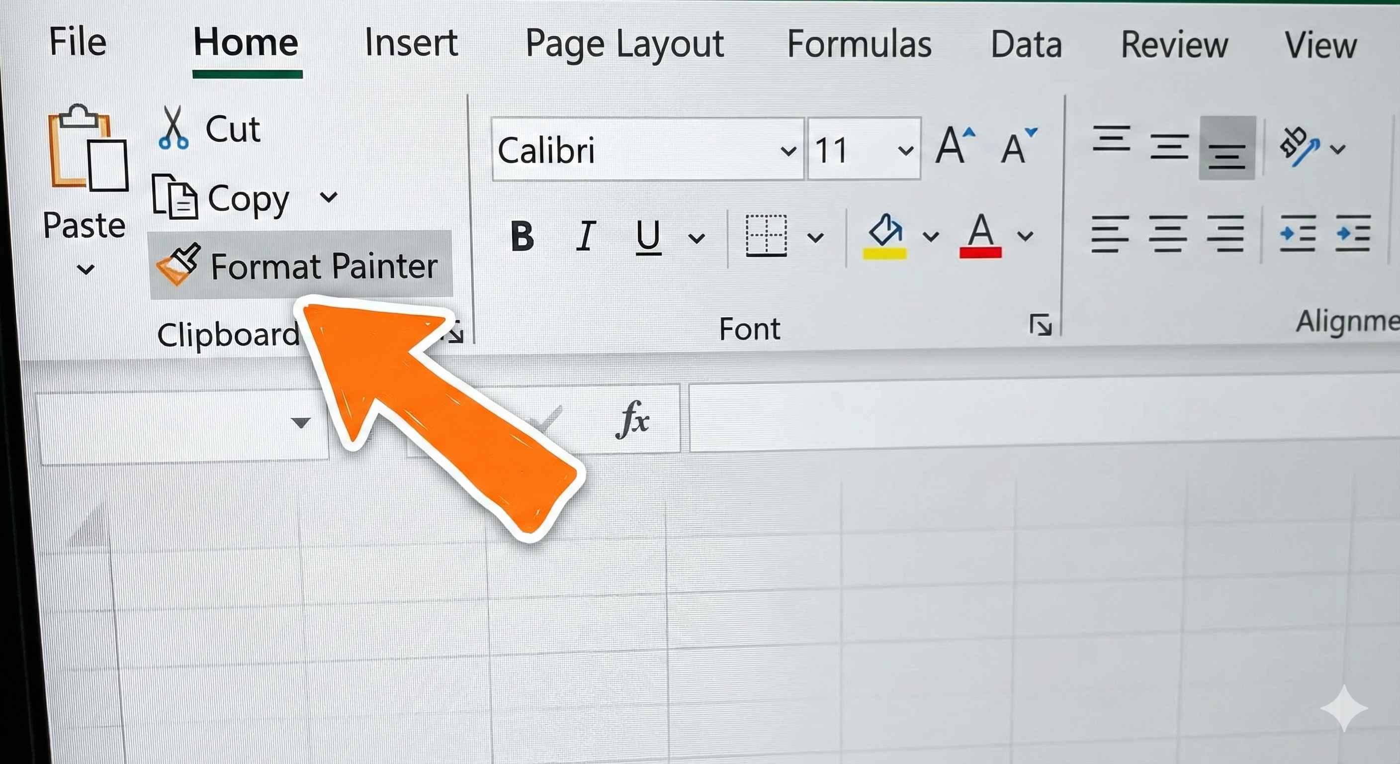 Format Painter Location