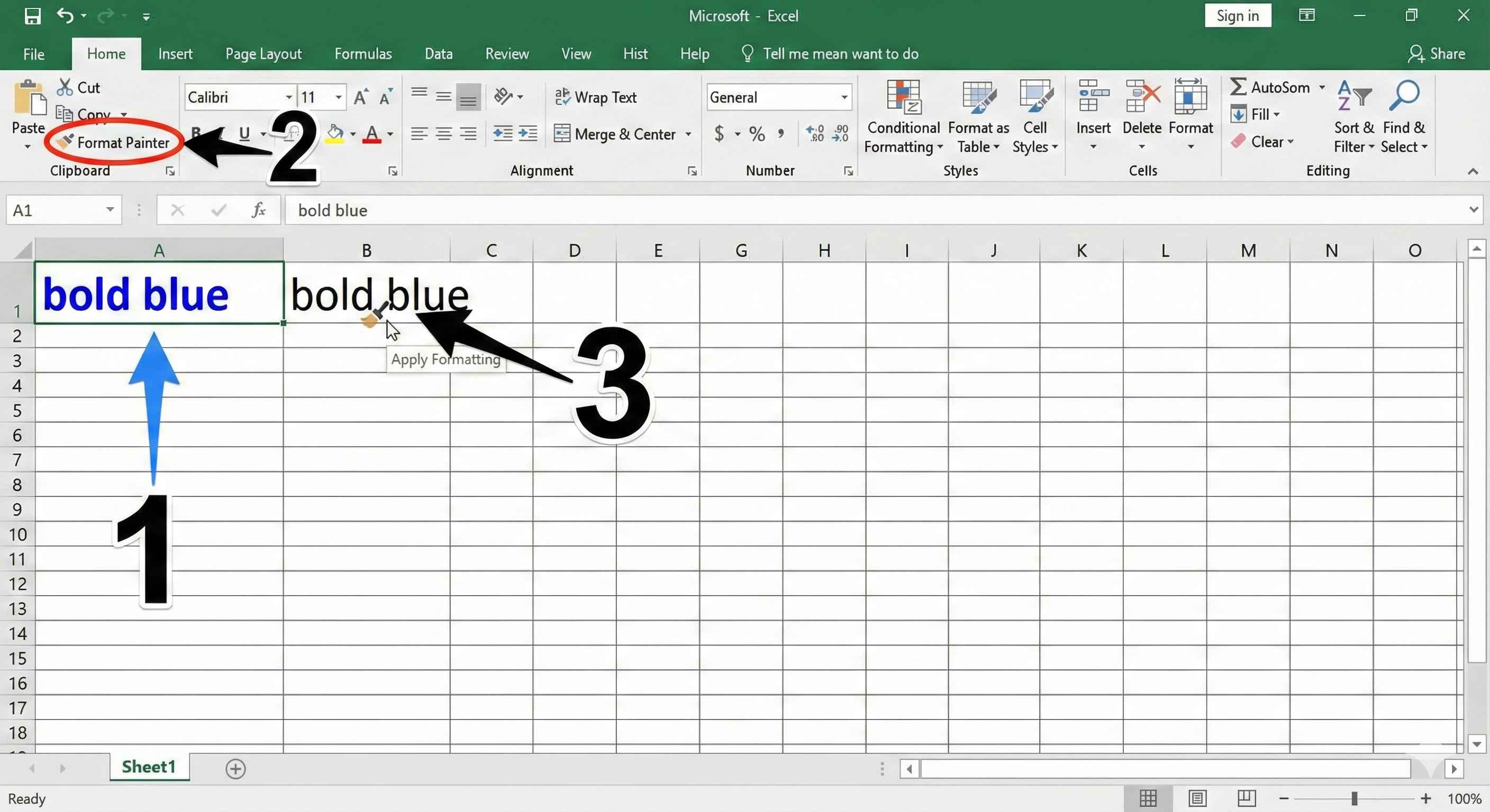 Format Painter Steps