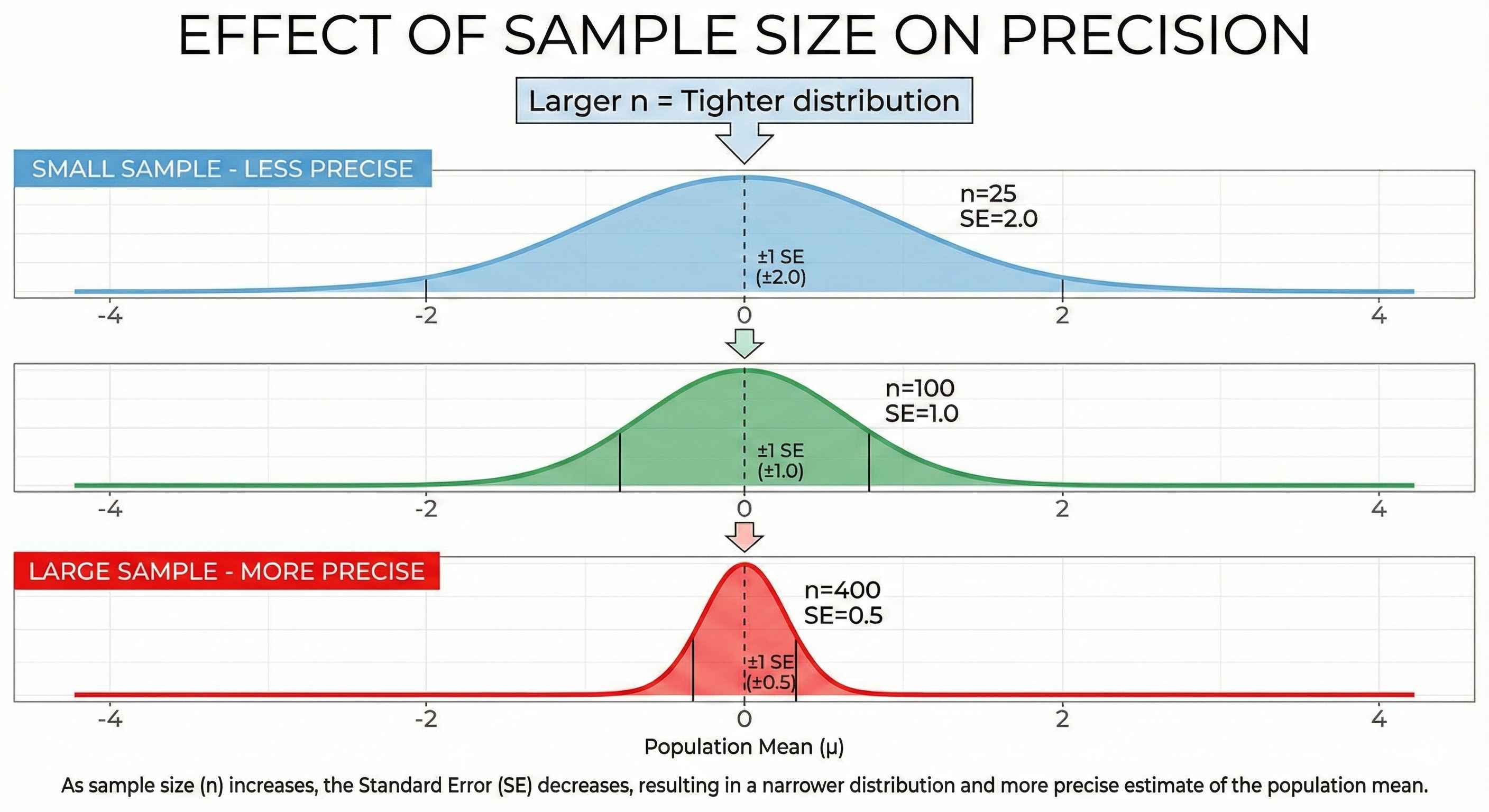 Effect of Sample Size on Precision
